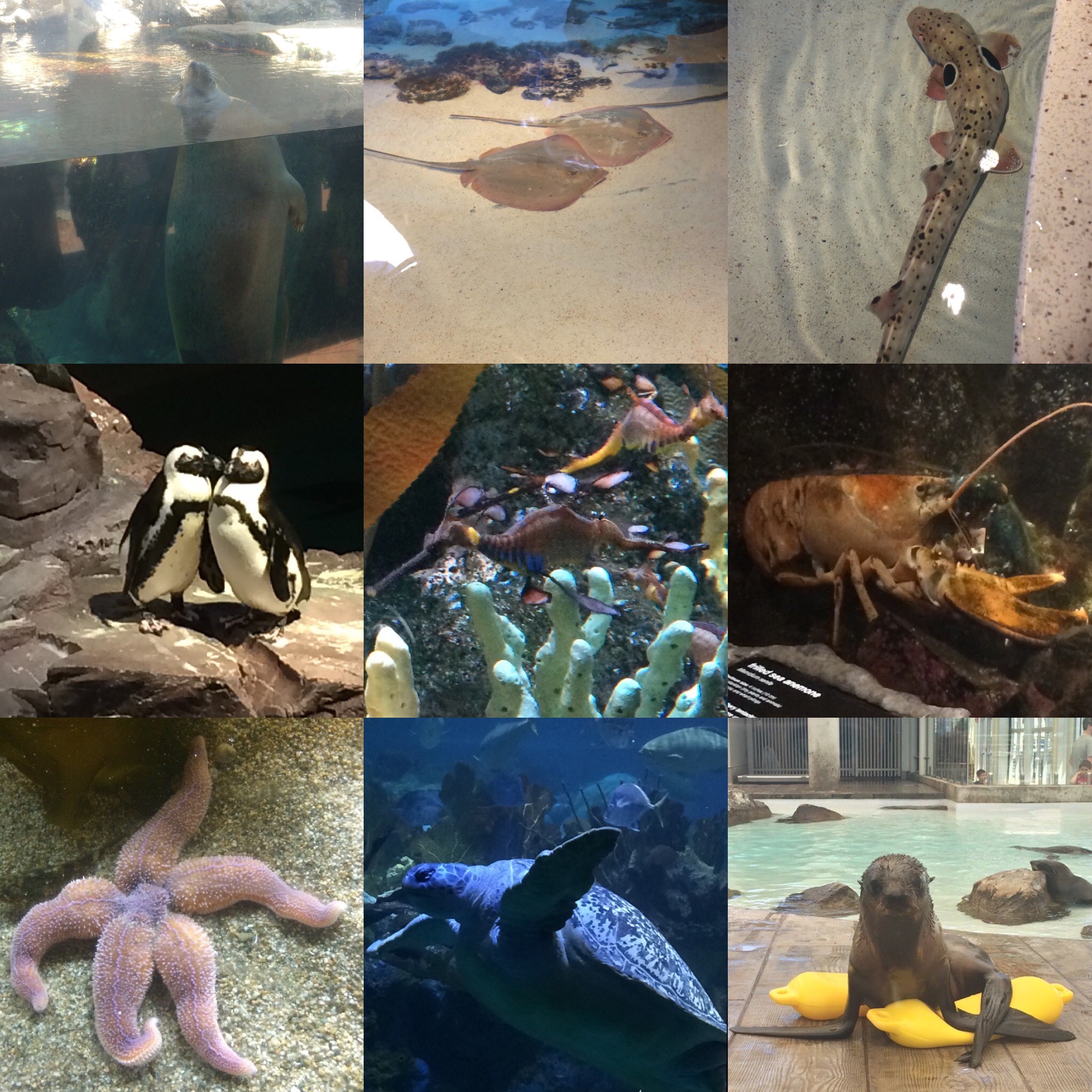 56047B7B-FFB5-4107-A8E6-374678E4CDA2